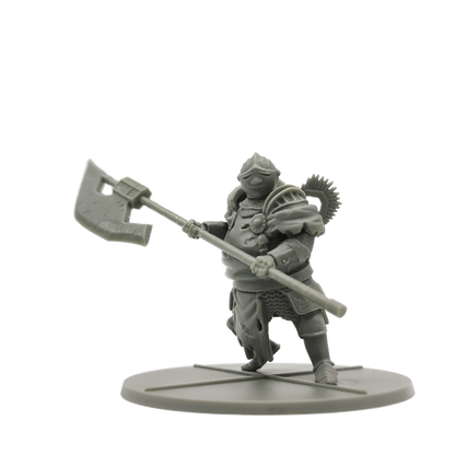 STF DS-RPG010 ITEM IMAGE 4