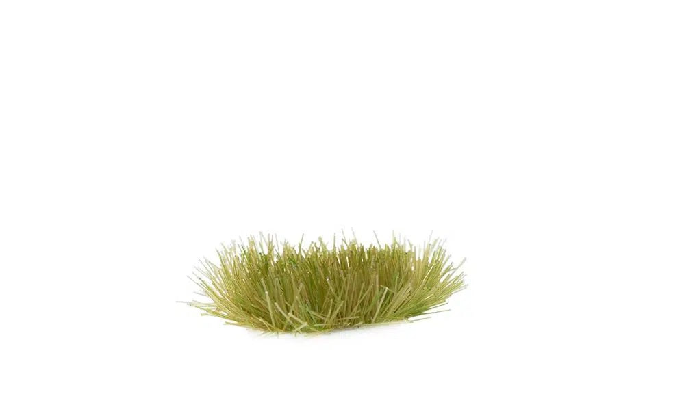 GGR GG2-DGITEM IMAGE 1
