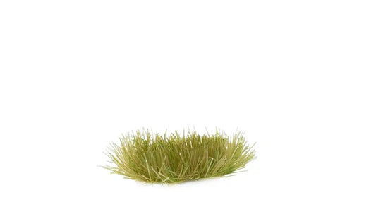 GGR GG2-DGITEM IMAGE 1