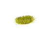GGR GG2-MITEM IMAGE 1