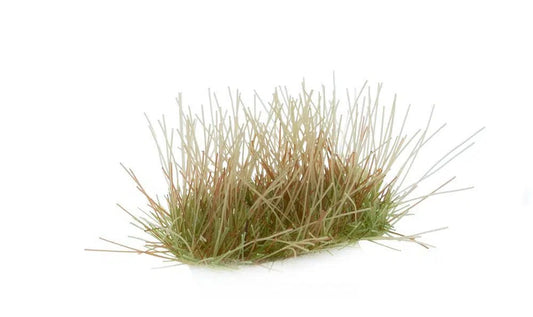 GGR GG5-AUITEM IMAGE 1