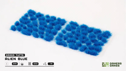 GGR GGA-BLITEM IMAGE 1