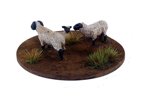 GEG DMH074 ITEM IMAGE 2